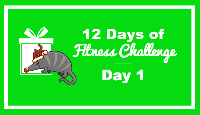 day 1 fitness challenge