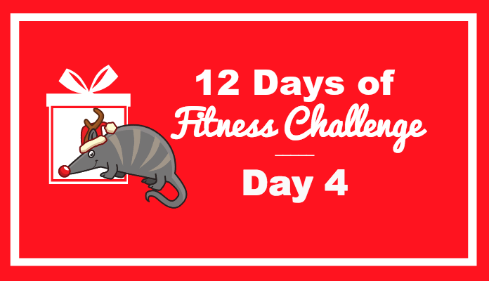 day 4 fitness challenge