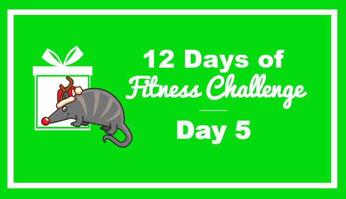 day 5 fitness challenge
